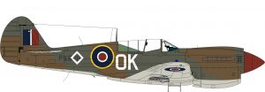 Rough Diamonds - 3 & 450 Sqns RAAF, P-40F, P-40N RAAF Italy 1945 - 1/72 Scale